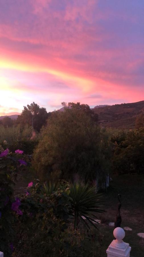 Finca El Rio, The Studio Self Catering With Pool And Hydrotherapy Jacuzzi Set In Beautiful Gardens, Guaro Eksteriør billede
